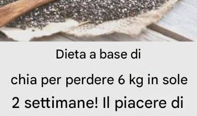 Dieta a base di chia