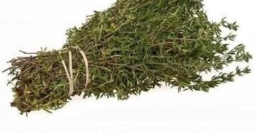 Erba potente curativa