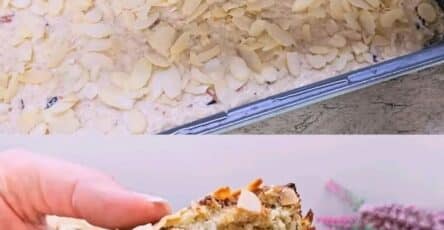 Fiocchi d'avena e mela