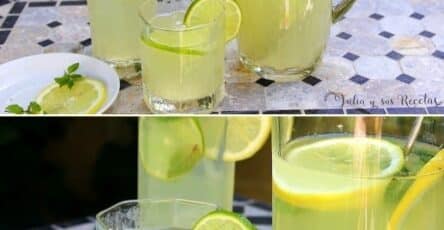 Limonata fresca e gustosa