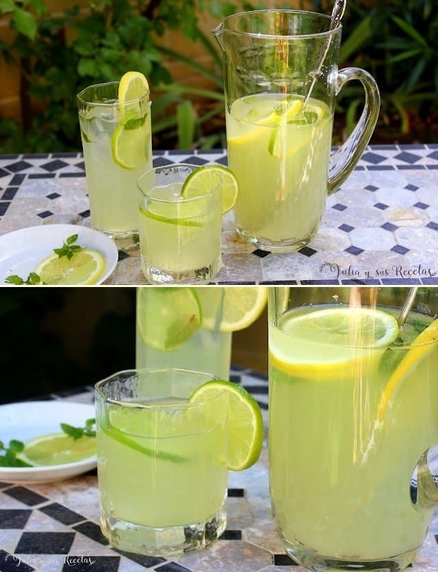 Limonata fresca e gustosa