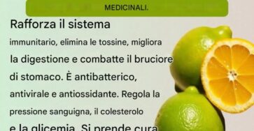 Limone depurativo medicinali
