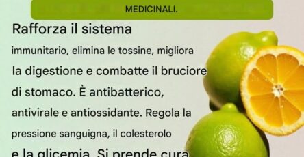 Limone depurativo medicinali