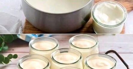 Yogurt greco fatto in casa