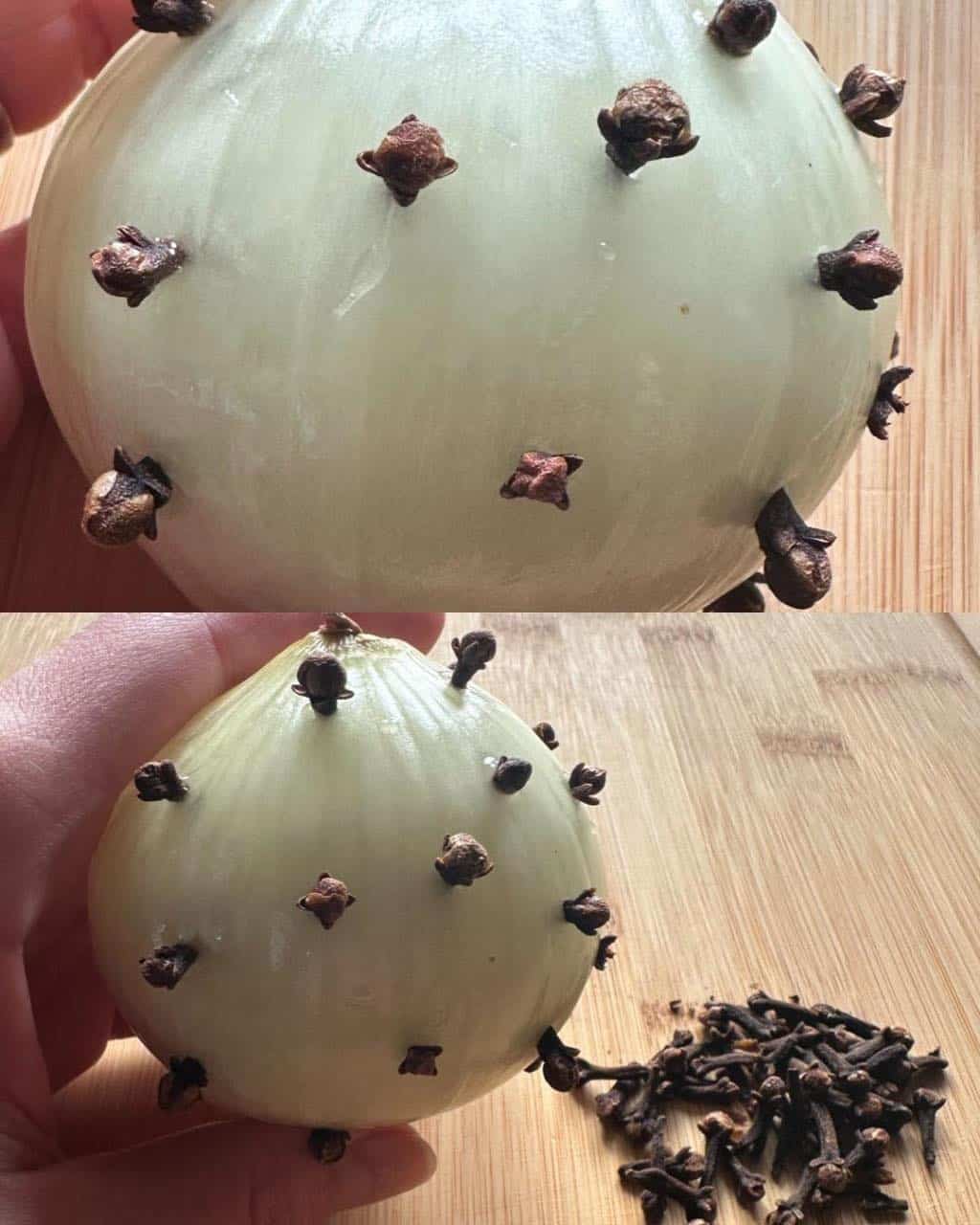 chiodi di garofano cipolla