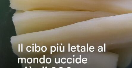 cibo letale al mondo
