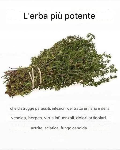 erba forte parassiti virus