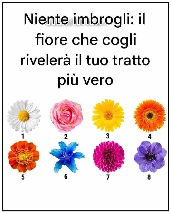 fiore tratto vero