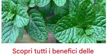 benefici foglie pianta latte