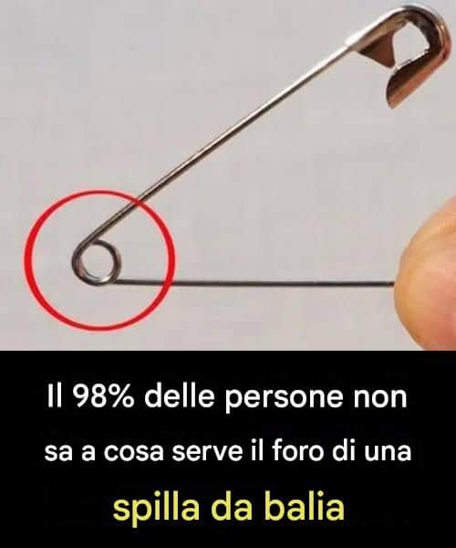 foro spilla da balia