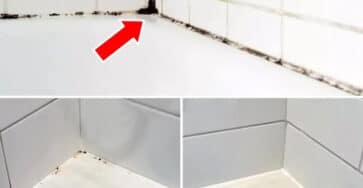 muffa silicone bagno facile