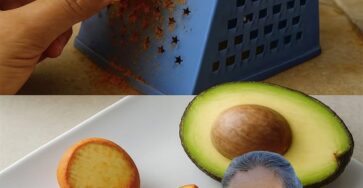 nocciolo di avocado benefici