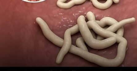 parassiti nel corpo