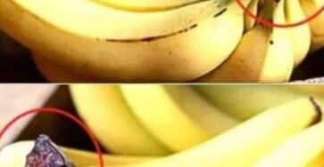 parte delle banane