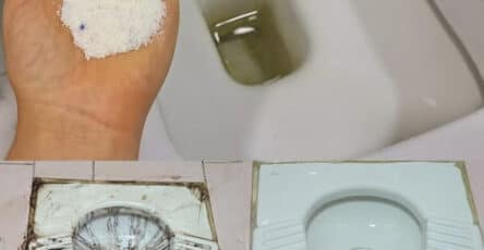 pulizia wc metodo naturale