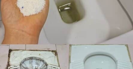 pulizia wc naturale