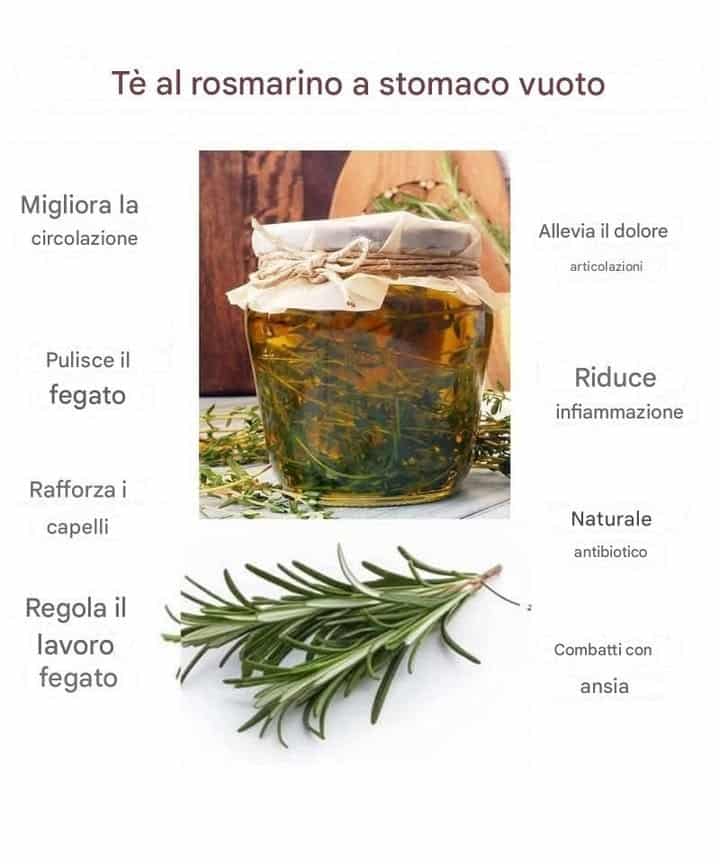 rosmarino funzioni cognitive memoria