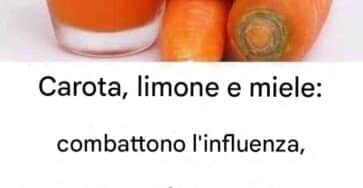 Sciroppo di carote