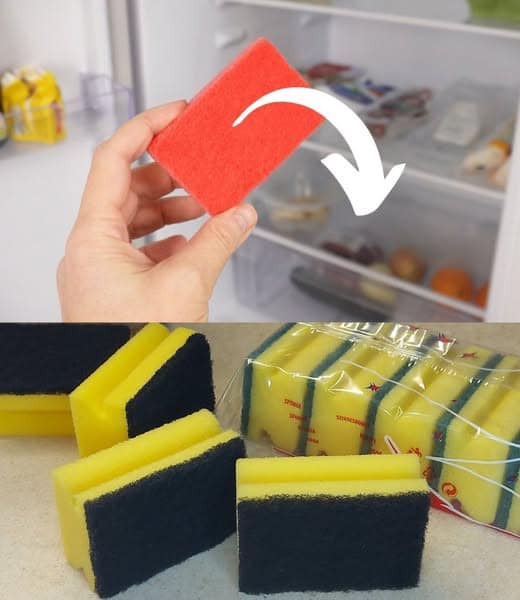 spugna in frigo conserva