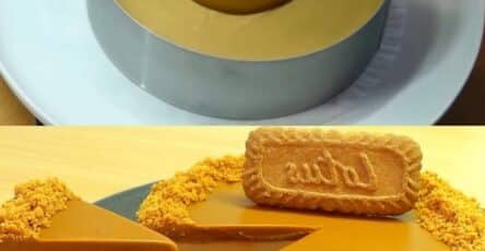Cheesecake al loto senza cottura