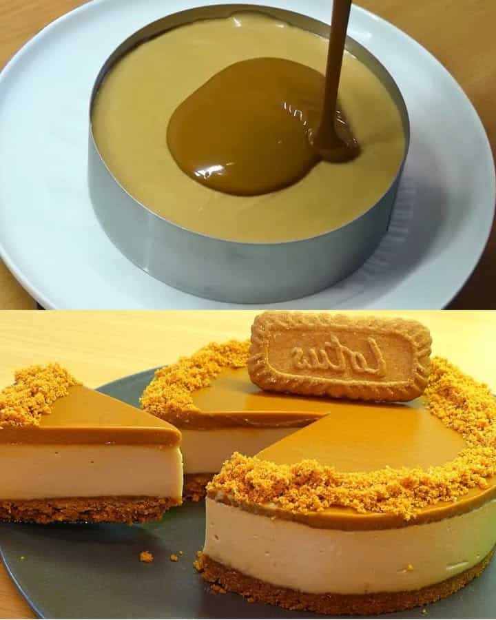 Cheesecake al loto senza cottura