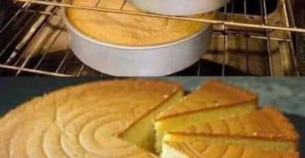 Torta al pan di spagna