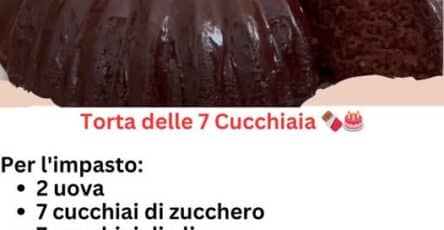 Torta cioccolato semplice