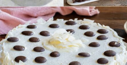 Torta fredda cocco cioccolato