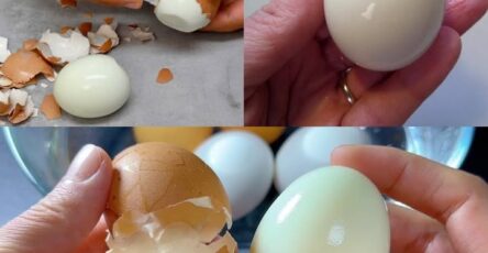 Uova fresche bollite