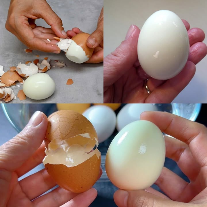 Uova fresche bollite