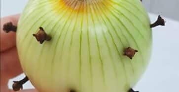 chiodo nella cipolla