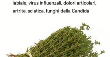 erba medicinale potente
