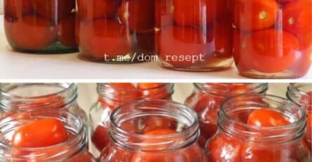 pomodori dolci salamoia bevuta