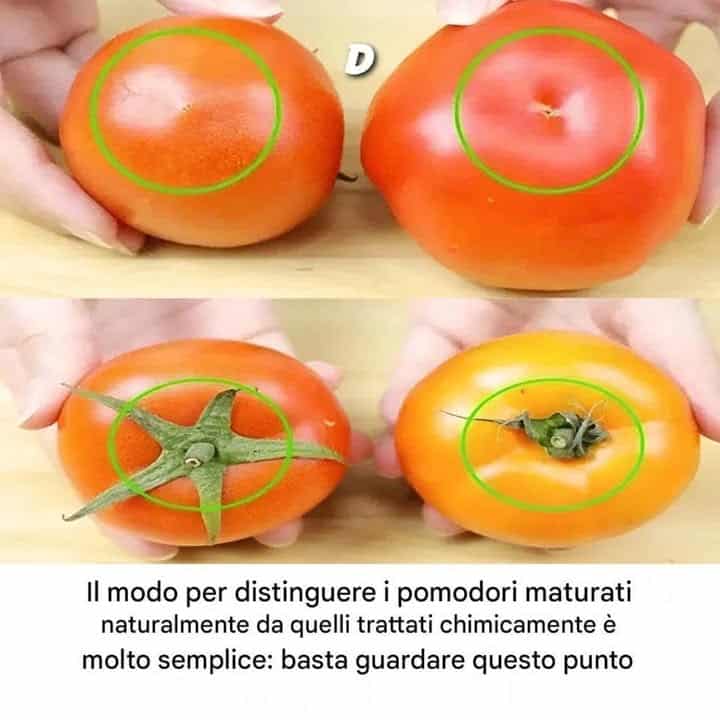 pomodori maturi naturalmente distinguere