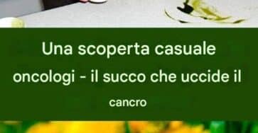 radice di tarassaco