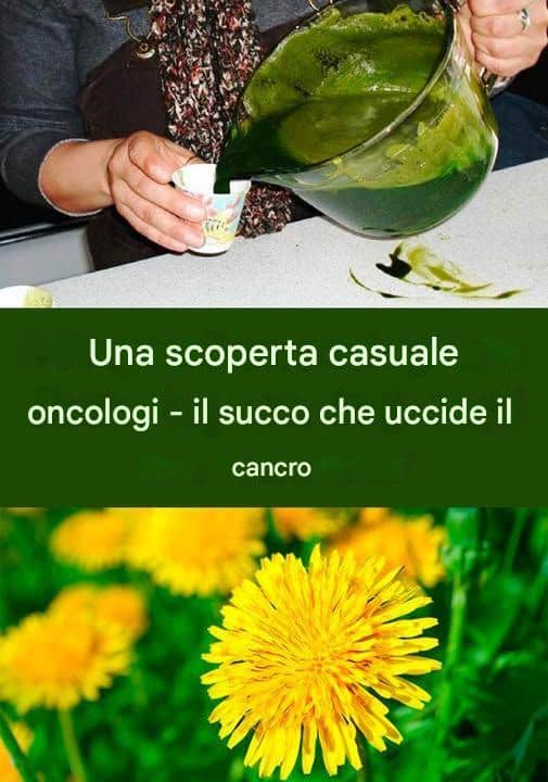 radice di tarassaco