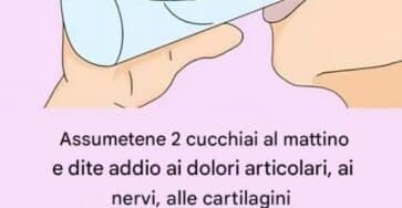 rosmarino per dolore articolare